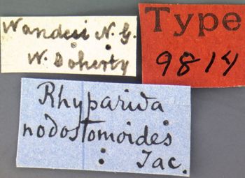 Media type: image; Entomology 9814   Aspect: labels
